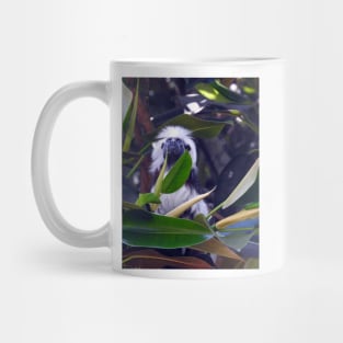 Cotton-top Tamarin Mug